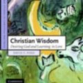 Cover Art for 9780511287169, Christian Wisdom by David F. Ford