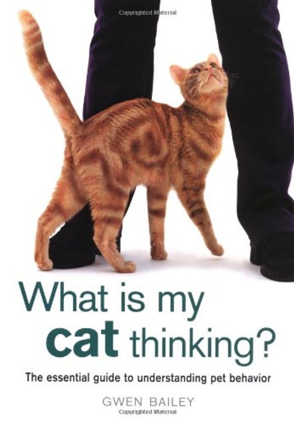 Cover Art for 9781571458698, What Is My Cat Thinking? by Gwen Bailey