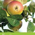 Cover Art for 8601200521771, Fruit: River Cottage Handbook No.9 by Mark Diacono