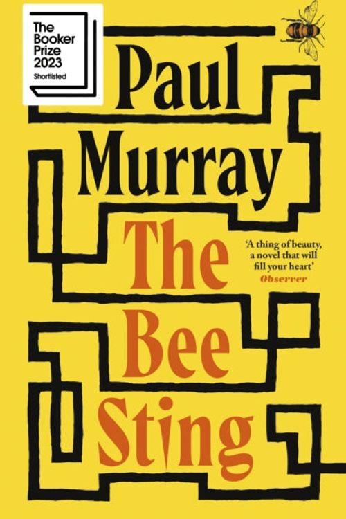 Cover Art for 9780241353950, The Bee Sting by Paul Murray