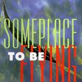 Cover Art for 9780312858490, Someplace to be Flying by Charles D. Lint