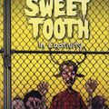 Cover Art for 9780857680440, Sweet Tooth: In Captivity v. 2 by Jeff Lemire