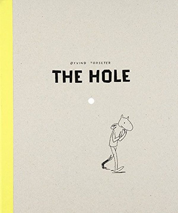 Cover Art for 9781592701438, The Hole by Oyvind Torseter