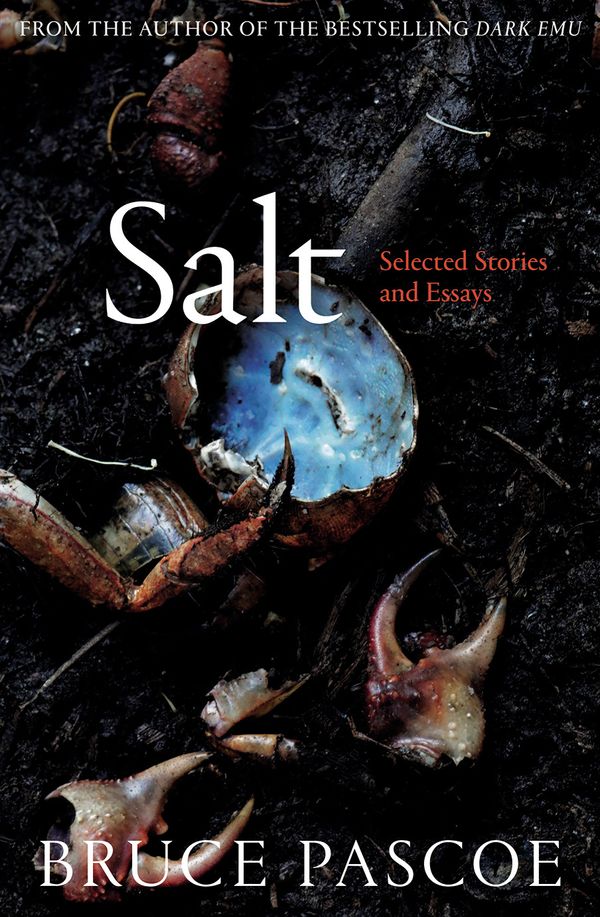 Cover Art for 9781743821053, Salt by Bruce Pascoe