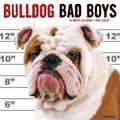 Cover Art for 9781623436421, Bulldog Bad Boys Calendar by Willow Creek Press