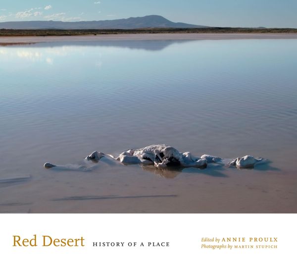 Cover Art for 9780292742628, Red Desert by Annie Proulx, Martin Stupich