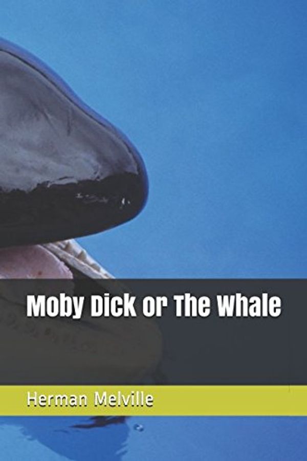 Cover Art for 9781549873409, Moby Dick or The Whale by Herman Melville