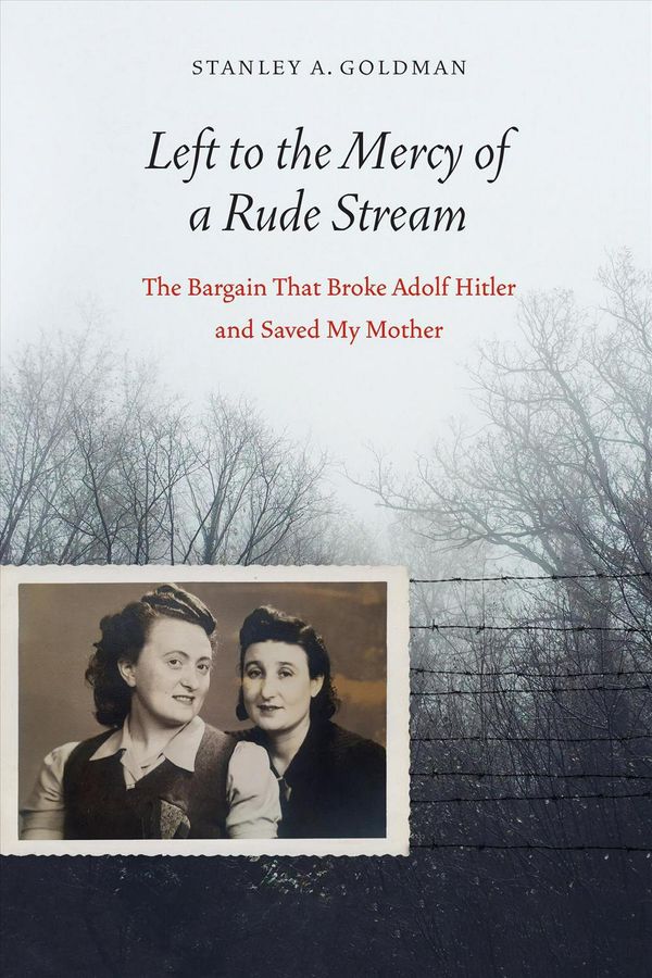 Cover Art for 9781640120440, Left to the Mercy of a Rude Stream: The Bargain That Broke Adolf Hitler and Saved My Mother by Stan Goldman