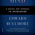 Cover Art for 9781250318145, The Inflamed Mind: A Radical New Approach to Depression by Edward Bullmore