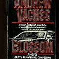 Cover Art for 9780804107518, Blossom by Andrew Vachss