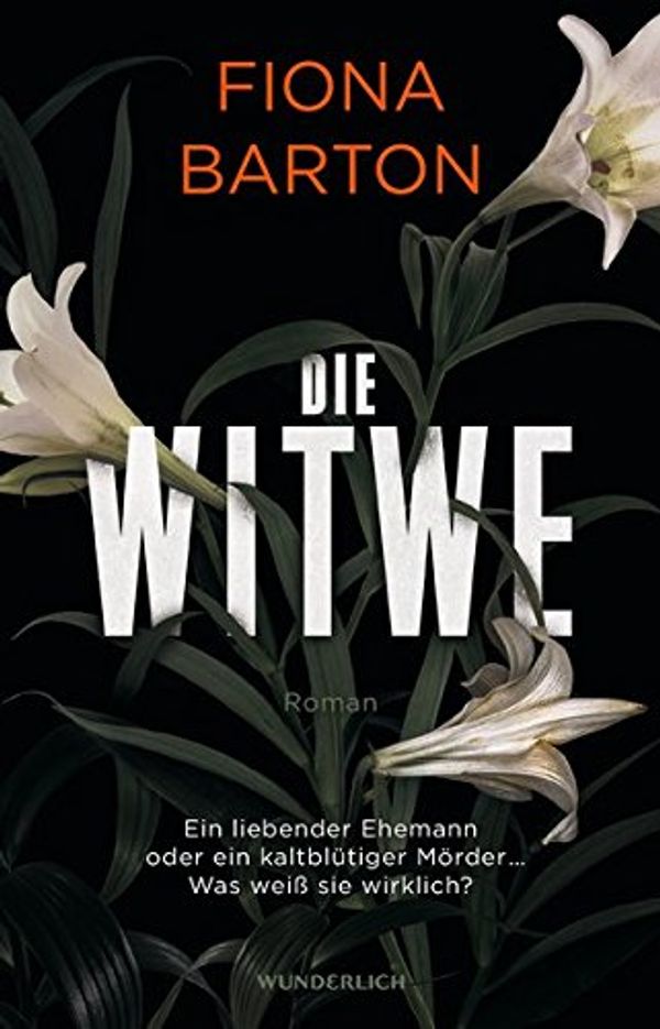 Cover Art for 9783805250979, Die Witwe: Ein liebender Ehemann oder ein kaltblütiger Mörder ... Was weiß sie wirklich? by Fiona Barton