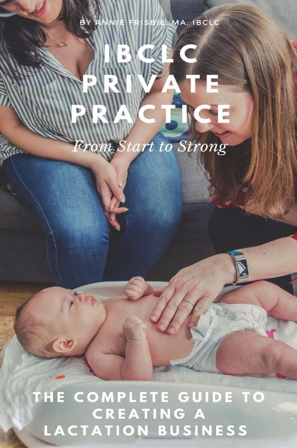 Cover Art for 9781732088528, Ibclc Private PracticeFrom Start to Strong by Annie Frisbie IBCLC MA