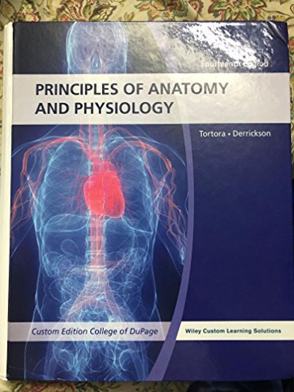 Cover Art for 9781118808979, Studyguide for Principles of Anatomy and Physiology by Tortora, Gerard J., ISBN 9781118808979 by Gerard J. Tortora, Bryan H. Derrickson