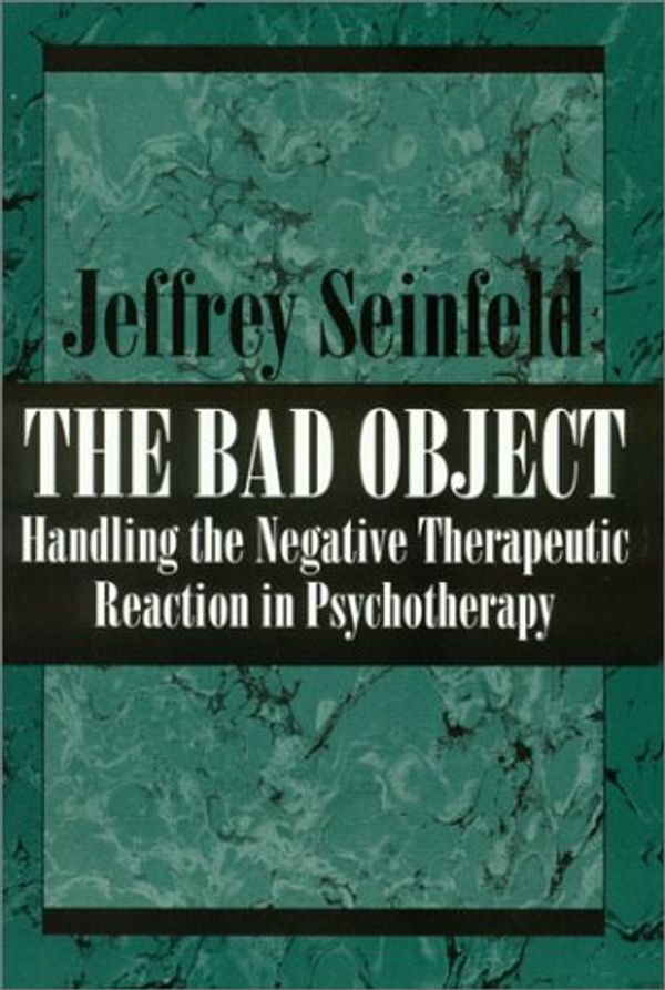 Cover Art for 9781568210025, The Bad Object by Jeffrey Seinfeld