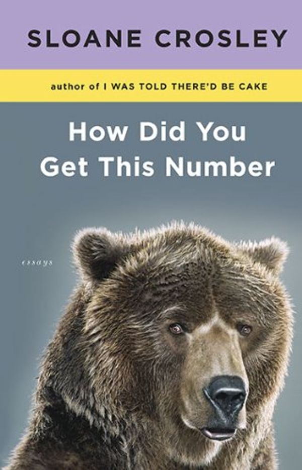 Cover Art for 9781594487590, How Did You Get This Number by Sloane Crosley