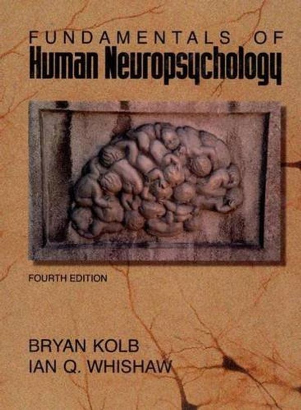 Cover Art for 9780716723875, Fundamentals of Human Neuropsychology by Bryan Kolb