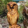 Cover Art for 9788055112206, Garden Decor Sculpture Carved Wooden Owl by Joanne Kathleen Rowlingová