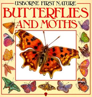 Cover Art for 9780860204770, Butterflies and Moths (Usborne First Nature) by Rosamund Kidman Cox