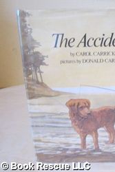 Cover Art for 9780395287743, The Accident by Carol Carrick