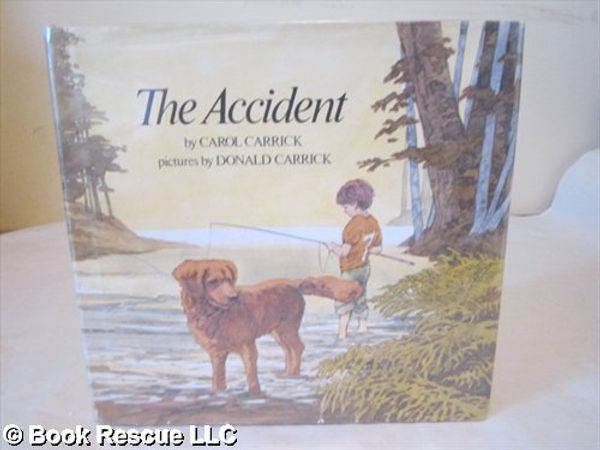 Cover Art for 9780395287743, The Accident by Carol Carrick