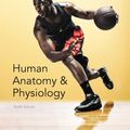 Cover Art for 9780321927040, Human Anatomy & Physiology by Elaine N. Marieb, Katja N. Hoehn