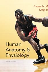 Cover Art for 9780321927040, Human Anatomy & Physiology by Elaine N. Marieb, Katja N. Hoehn