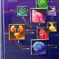 Cover Art for 9780030726163, Human Physiology by Rodney Rhoades, Richard G. Pflanzer