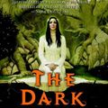 Cover Art for 9781597373425, The Dark Mirror by Juliet Marillier