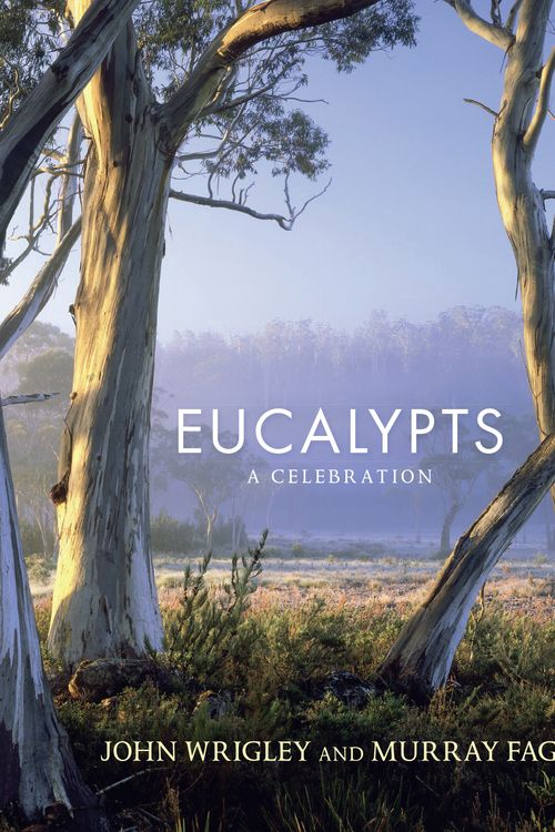 Cover Art for 9781743310809, Eucalypts by John Wrigley and Murray Fagg