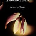 Cover Art for 9781443855358, Fiction Unbound: Bernardine Evaristo by Sebnem Toplu