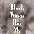 Cover Art for 9780486832562, Black Wings Has My Angel by Elliott Chaze