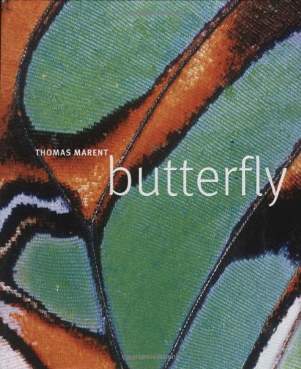 Cover Art for 9780756633400, Butterfly by Thomas Marent