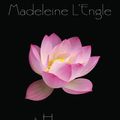 Cover Art for 9781466814134, A House Like a Lotus by Madeleine L'Engle