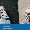 Cover Art for 9783125781023, Small Steps by Louis Sachar