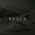 Cover Art for 9780307268334, Peace by Richard Bausch