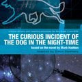 Cover Art for 9781408185216, The Curious Incident of the Dog in the Night-Time by Mark Haddon