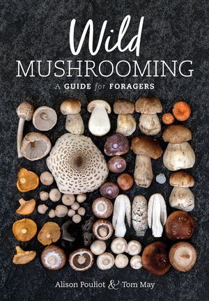 Cover Art for 9781486311736, Wild Mushrooming: A Guide for Foragers by Alison Pouliot, Tom May