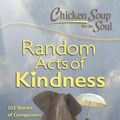 Cover Art for 9781611592603, Chicken Soup for the Soul: Hidden Heroes by Amy Newmark