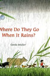 Cover Art for 9780863157493, Where Do They Go When it Rains? by Gerda Muller