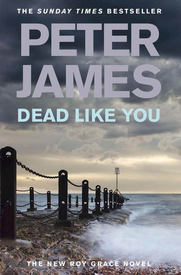 Cover Art for 9780330456791, Dead Like You by Peter James