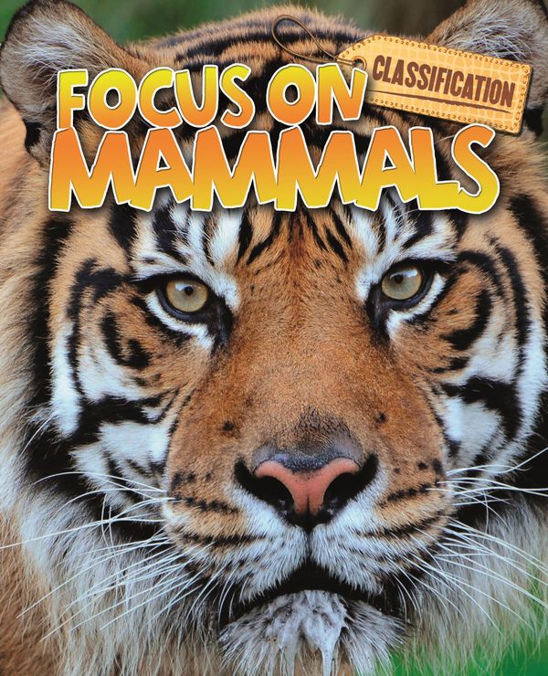 Cover Art for 9780750280761, Classification: Focus on: Mammals by Stephen Savage