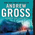 Cover Art for 9780061656019, Reckless by Andrew Gross