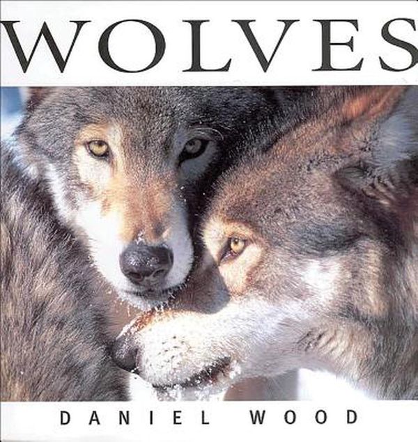 Cover Art for 9781552856642, Wolves by Daniel Wood