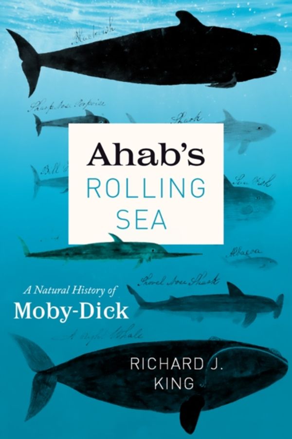 Cover Art for 9780226514963, Ahab's Rolling Sea: A Natural History of Moby-Dick by Richard J. King