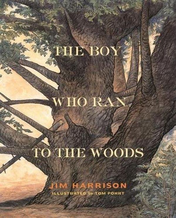 Cover Art for 9780871138224, The Boy Who Ran to the Woods by Jim Harrison