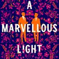 Cover Art for 9781529080919, Marvellous Light by Freya Marske