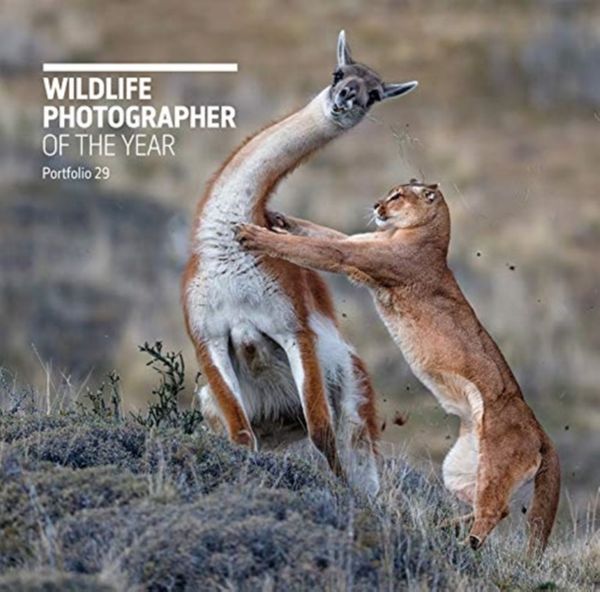 Cover Art for 9780565094867, Wildlife Photographer of the Year: Portfolio 29 by Rosamund Kidman Cox