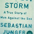 Cover Art for 9780007241750, The Perfect Storm by Sebastian Junger