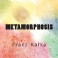 Cover Art for 9781492341406, Metamorphosis by Franz Kafka