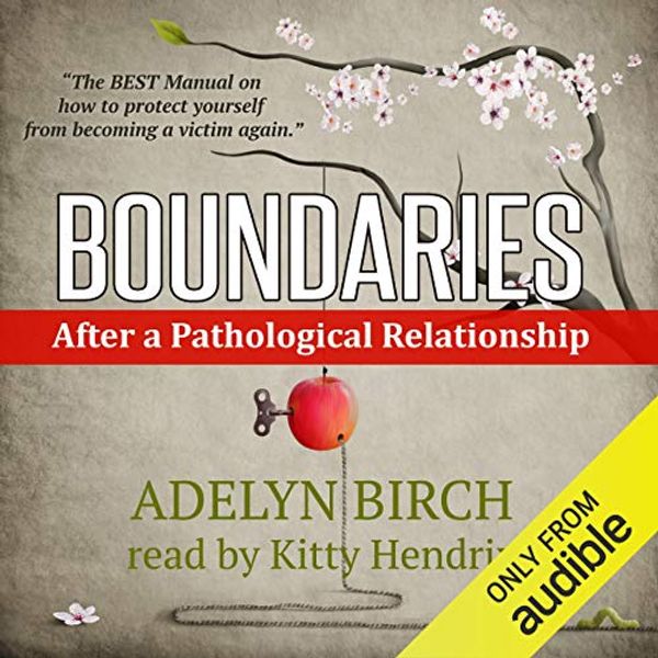 Cover Art for B07BDR8LSX, Boundaries After a Pathological Relationship by Adelyn Birch